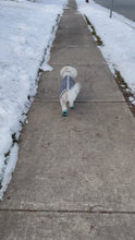 Load and play video in Gallery viewer, DIY Dog Boot Pattern; Dog Paw Covers; Dog Booties PDF; Easy Paw Protectors; Cute Pet Booties; Custom Dog Boots; Downloadable Paws; Fashion Dog Boots; Pet Shoe Guide; DIY Paw Cover; Pup Booties PDF; Tiny Dog Boots; Puppy Shoe PDF; DIY Dog Boots Sewing Pattern; Instant Download Dog Booties Pattern; Handmade Dog Footwear Instructions; PDF Dog Boot Pattern; Easy Dog Booties Sewing Project; Winter Dog Paw Protection